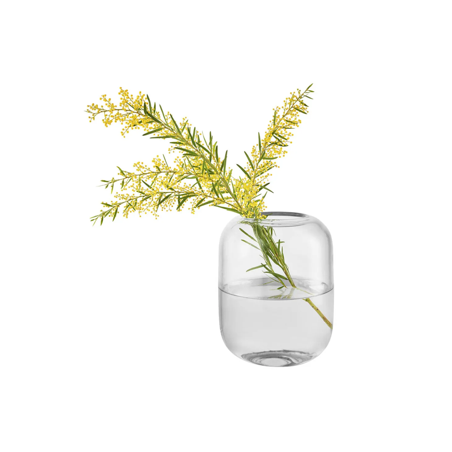 Acorn vase, clear