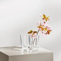 Alvar Aalto vase 16 cm, clear