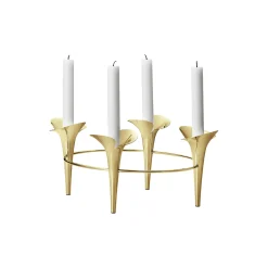 Bloom Botanica lysestage