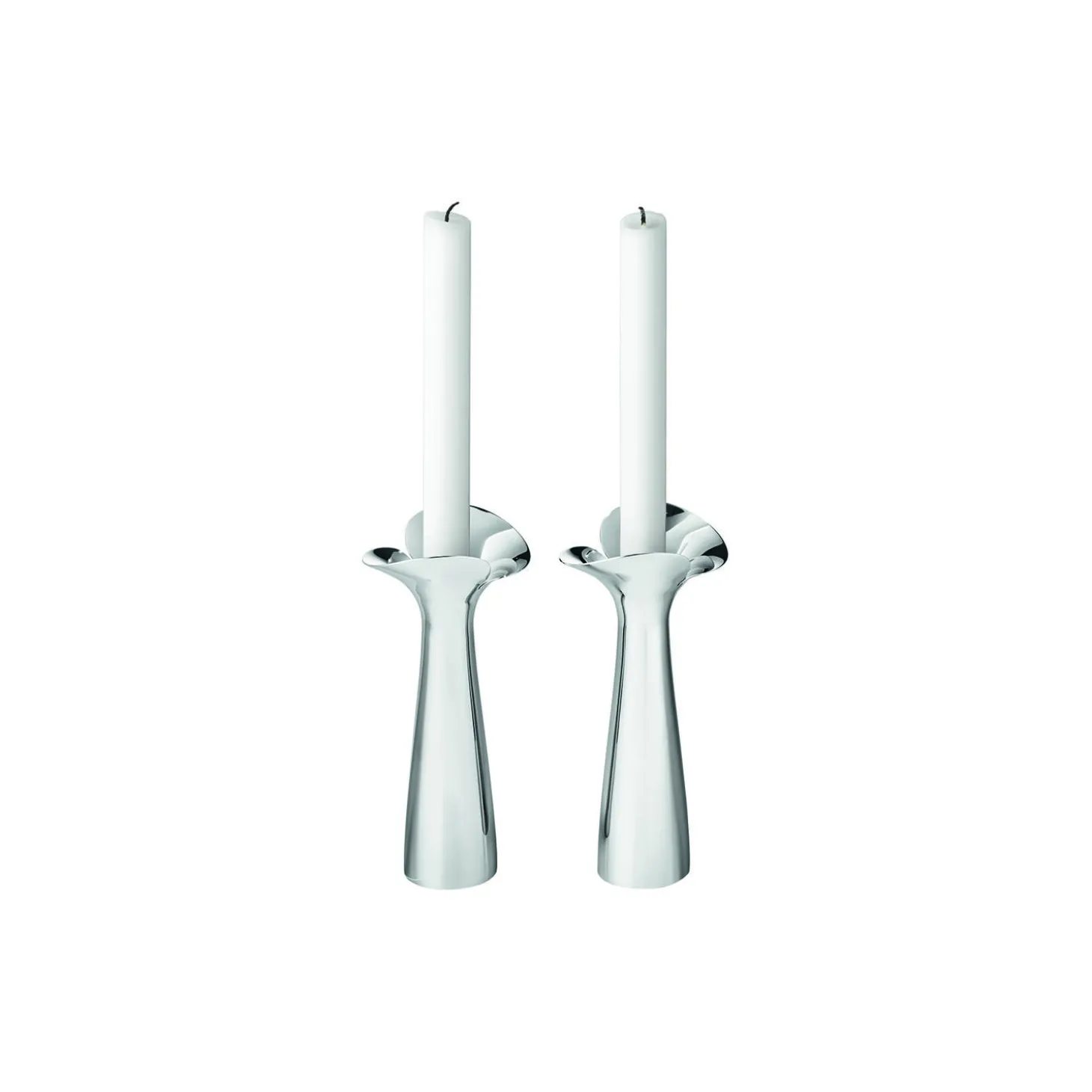 Bloom Botanica lysestage