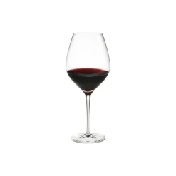 Cabernet bourgogneglas