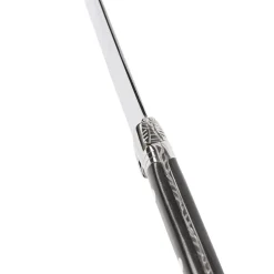 Champagnesabel, ibenholt