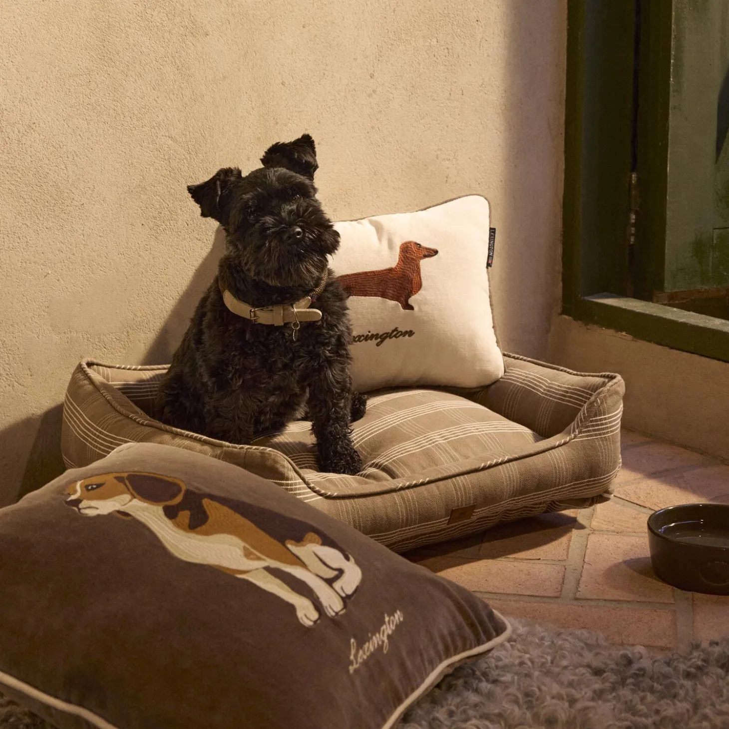 Dog Pillow Cover, stone multi