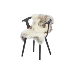 Himalaya lammeskind, light spotted