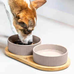 Kronborg Food Bar, caffe latte