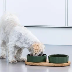 Kronborg Food Bar, racing green