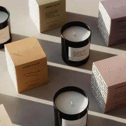 No. 2 Candle, Never make the same mistake