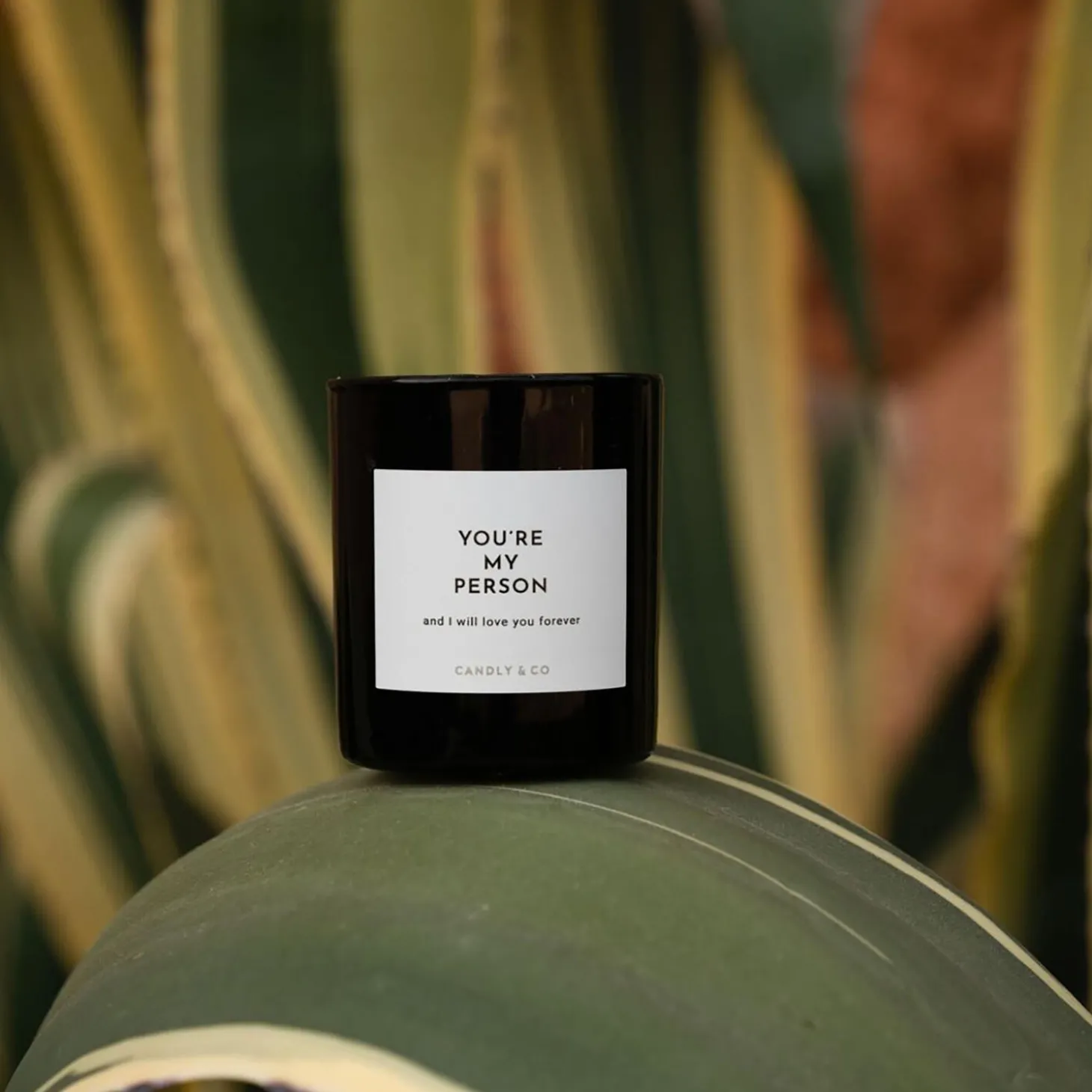 No. 3 Candle, You are my person and I will love you forever