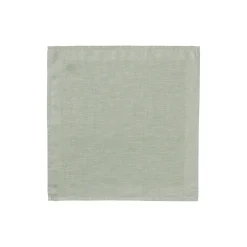PLAIN serviet, light green