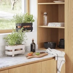 Selvvandende Herb organiser, sand