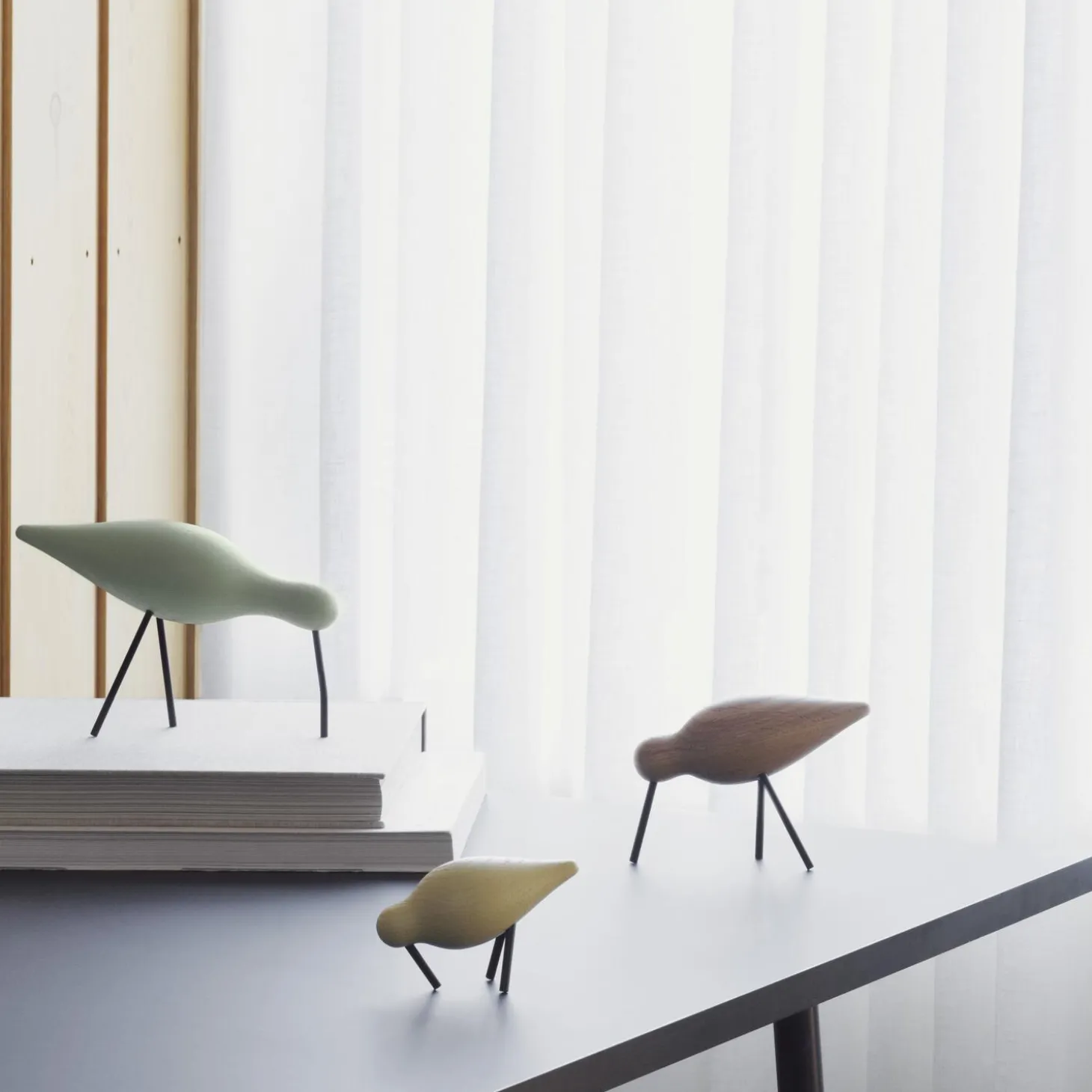 Shorebird, light yellow