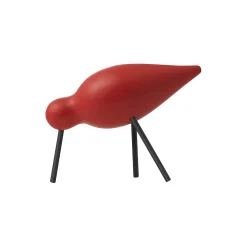 Shorebird, red